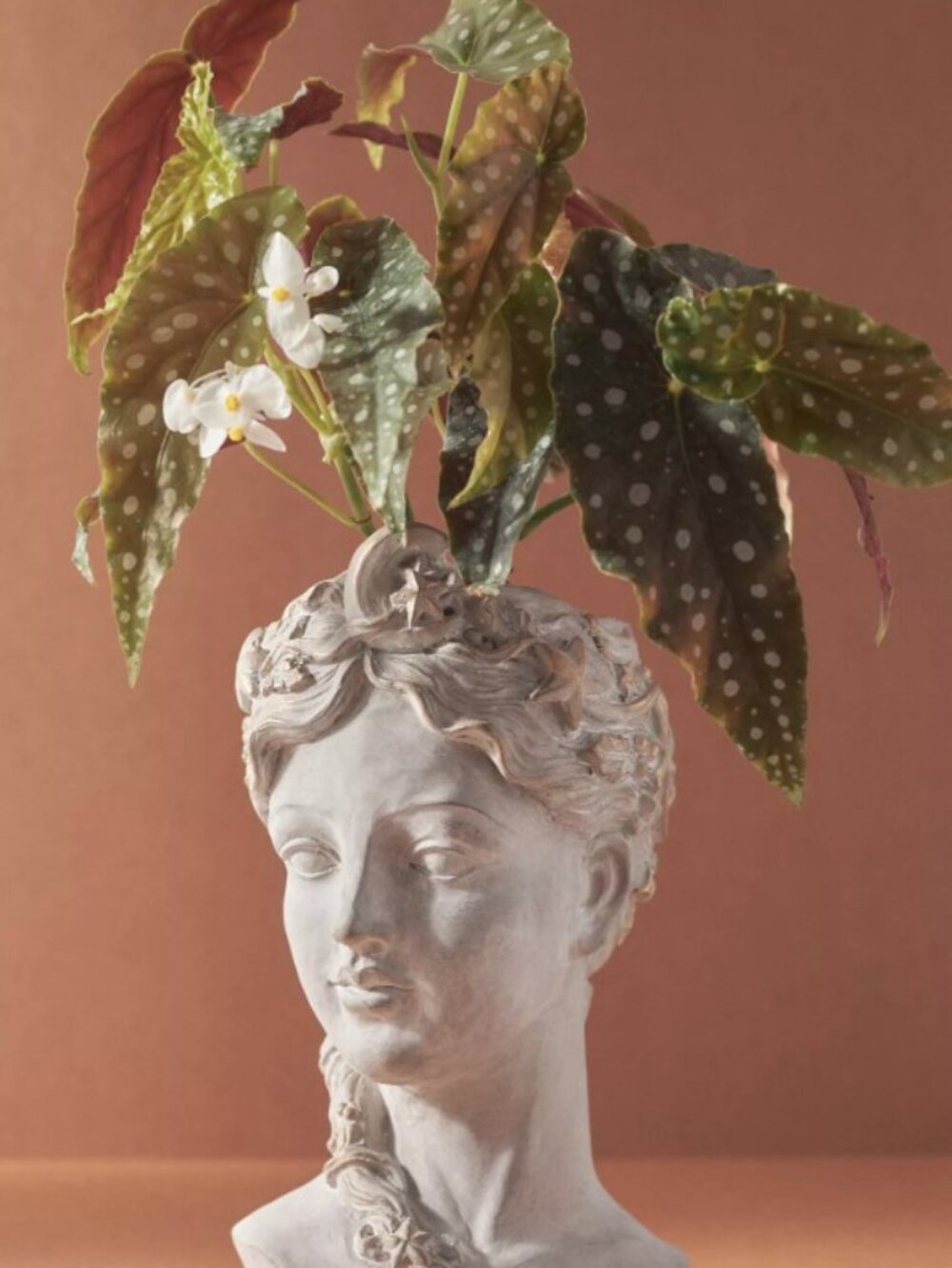 Anthropologie Celestial Grecian Bust Cement Pot